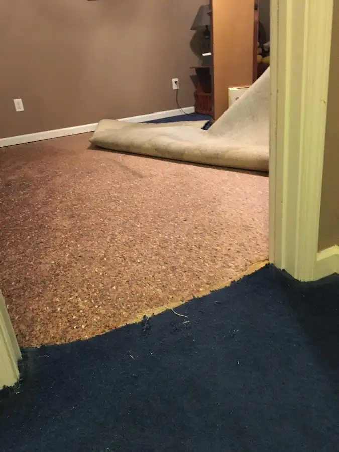Carpet pad removal revealing water damage during Drying & Dehumidification in Sikeston
