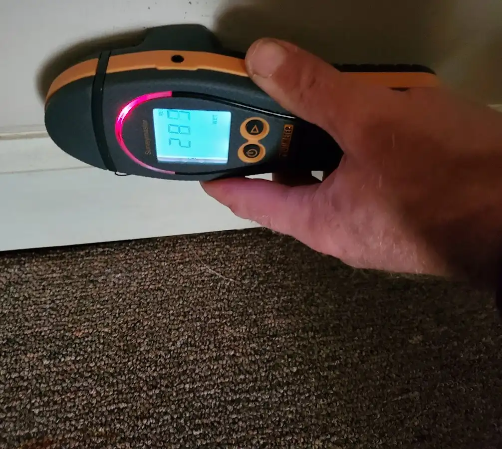 Moisture detection at baseboard during Mold Inspection & Testing in Sikeston